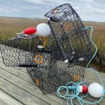 Crab traps with zip-tied FWC ID tags