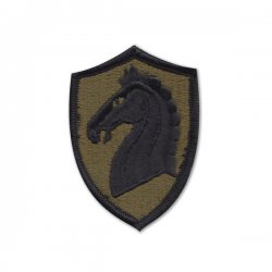 107th ACR Patch (subdued)