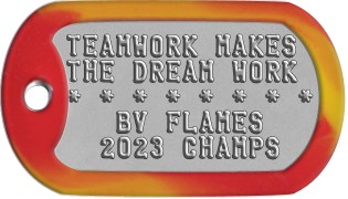 Team Player Dog Tags TEAMWORK MAKES THE DREAM WORK * * * * * * * *    BV FLAMES   2023 CHAMPS