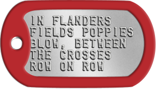 Lest We Forget IN FLANDERS FIELDS POPPIES BLOW, BETWEEN THE CROSSES ROW ON ROW
