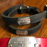 Collar Rivet Dog Tags (Instagram)
