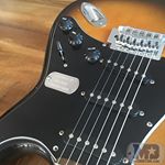 Dogtag on Electric Guitar (Instagram)
