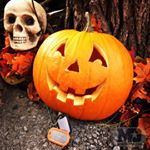 Halloween Pumpkin Dog Tags (Instagram)