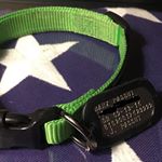 Dog Collar Dog Tags (Instagram)