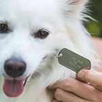 'Singles Dog Bait' Tag (Instagram)