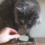 Pet ID Dogtags (Instagram)