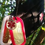 Medical Condition Dog Tags (Instagram)