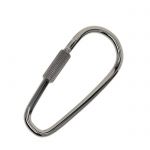 Screw-Lock Carabiner closed