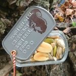 Dog Tag PillBox with squirrel snack 🐿️