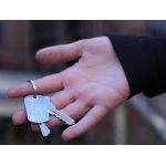 Mini Shiny Dog Tag as keychain
