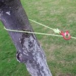 3 Hole Quick Knot Buckle tied with paracord on tree