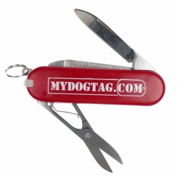 Mini Pocket Knife