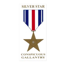 Silver Star Decal